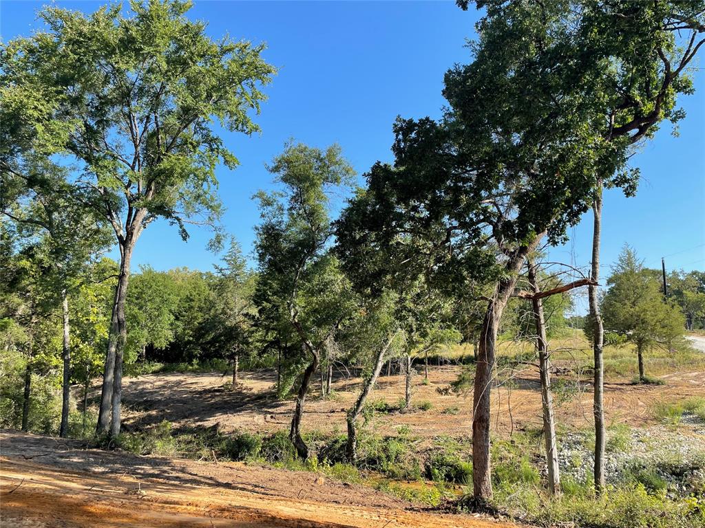 TBD Lot  27 10ac+- Timbercrest Ranch  , Jewett, Texas image 10