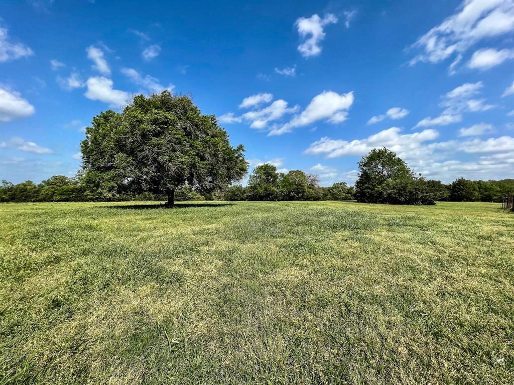 Picturesque 3-acre homesite offering gently rolling terrain, a nice balance of open and wooded areas with scattered trees and sandy-loam soil. Lightly deed restricted. Midsouth power and fiber optic internet available. Private water well and septic needed. North Zulch ISD.
