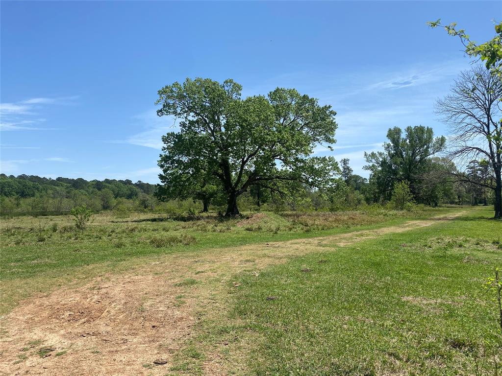 Beautiful open tract of land located near the Sam Houston National Forest.  Wide open spaces combined with beautiful scattered mature trees make up this 29.92 acres.  This property features a pond, community water access and no restrictions! This property would make a great recreational or leisure property!
Per seller there is an existing septic - agent not sure of the condition.