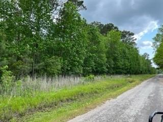 Lot 910 County Road 2112 Whaley Cove Cove , Liberty, Texas image 1