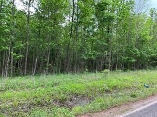 Lot 910 County Road 2112 Whaley Cove Cove , Liberty, Texas image 11