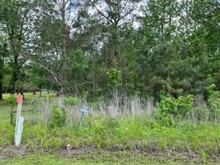 Lot 910 County Road 2112 Whaley Cove Cove , Liberty, Texas image 4