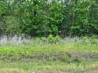 Lot 910 County Road 2112 Whaley Cove Cove , Liberty, Texas image 6
