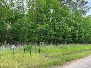 Lot 910 County Road 2112 Whaley Cove Cove , Liberty, Texas image 7