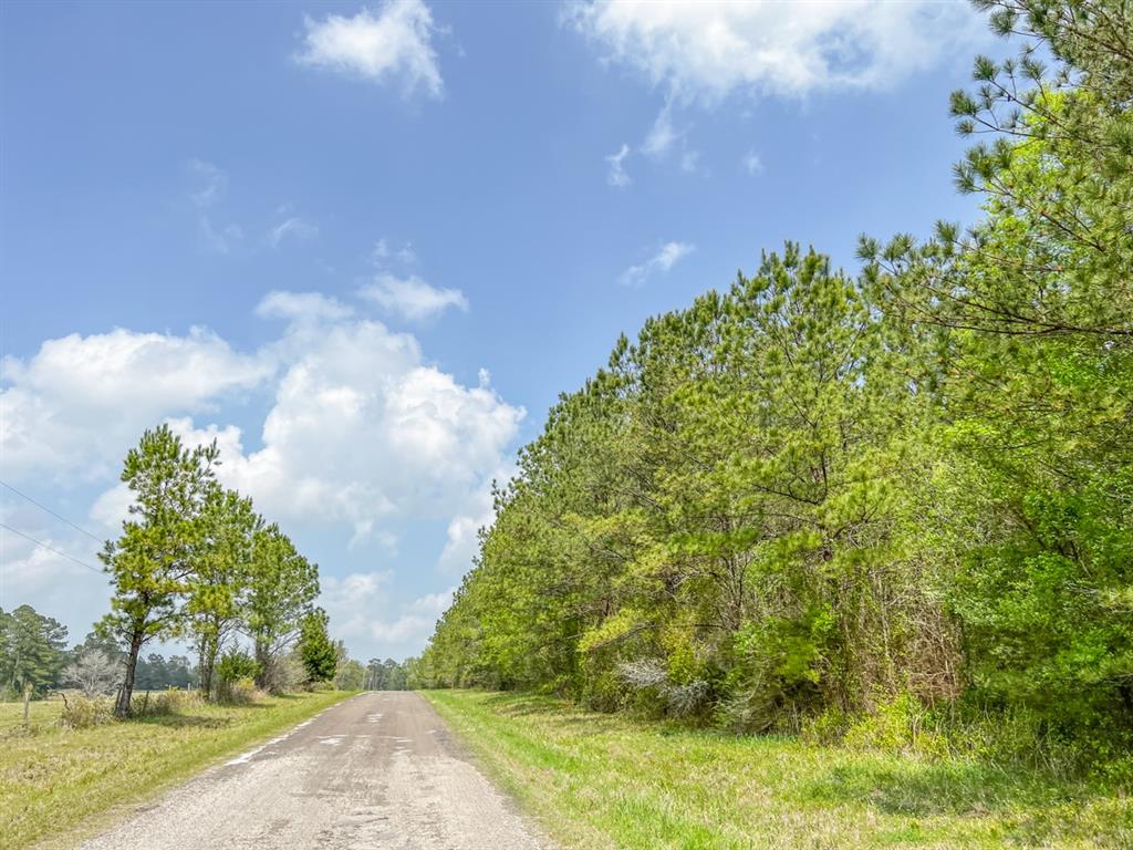0000000000000 Morrell Road, Chester, TX 75936