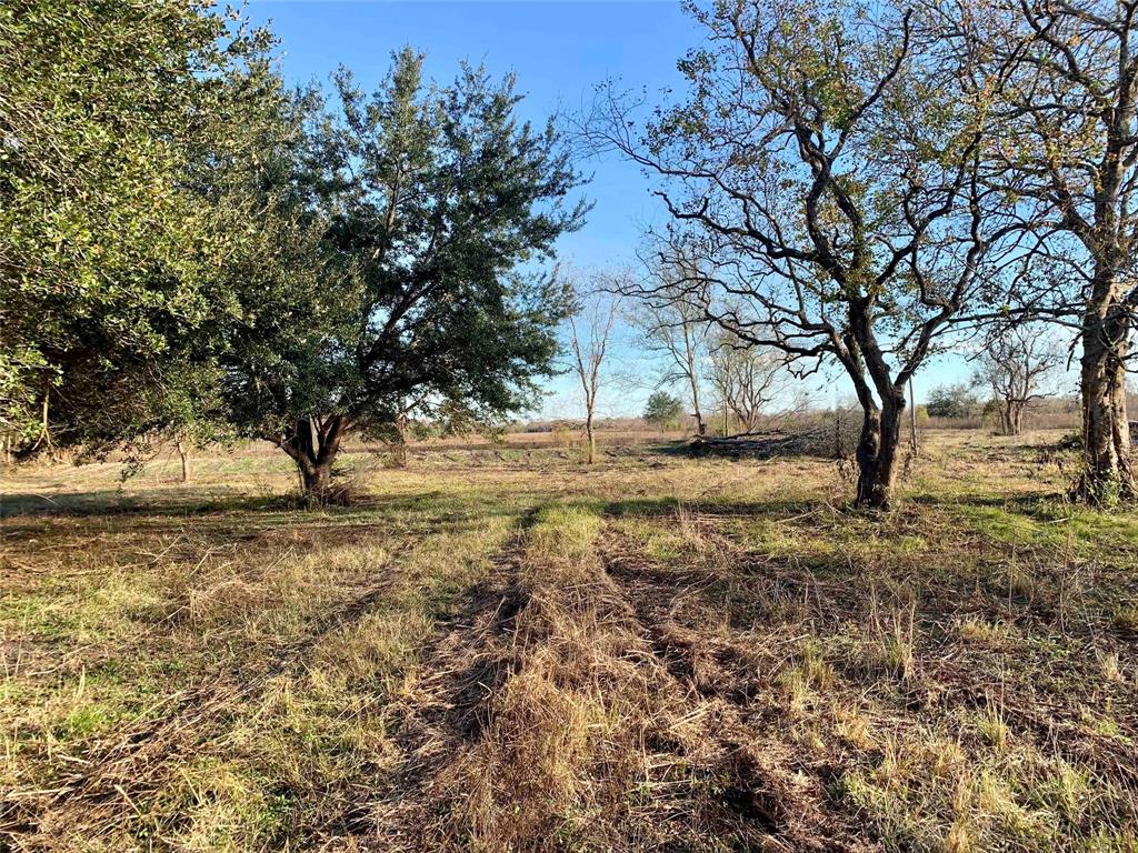 Great Ag-Exempt land near TX-6, TX-35, and proposed TX-99. Minutes to Alvin Community College. Perfect use for Farm/Ranch/AG/Cattle. Great Investment land for a Mobile Home Park or RV Park. Buy and hold. Outside City Limits/ETJ. 112 acres are being sold together. Included-Older home that has no value (could be restored), 3 wells and septic, pond, and older barn.

6 Tax IDs include: 0495-0030-000, 0495-0030-001, 0495-0028-110, 0495-0029-000, 0495-0028-130, 0495-0028-120.