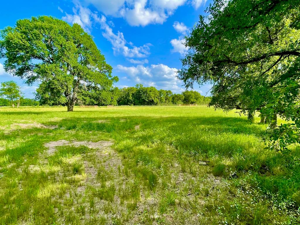 Looking for country acreage for your country homestead with an exceptional location?  This 2.23-acre tract of land outside of Bryan/College Station may be exactly where your vision becomes reality! Part of the Tabor Trace Estates subdivision, this land offers the tranquility of country living just outside of Edge, Texas, and comes with improvements to the land not common to find.  This acreage property comes complete with new net-wire perimeter field fencing along with a signature quality built equestrian four board entryway and gate with a culverted tie-in drive and 16-foot gate.  The terrain is predominantly level with scattered oaks among other species with just the right amount of open pastures to give the land an uncluttered and breezy homesite setting.  The land conveys with light restrictions in place to secure the enjoyment of your Texas country homestead for years to come.  Come and see the land that may be where the next great chapters in your story unfold!
