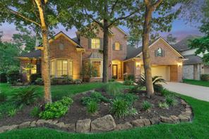 19 Angel Dove, The Woodlands, TX, 77382
