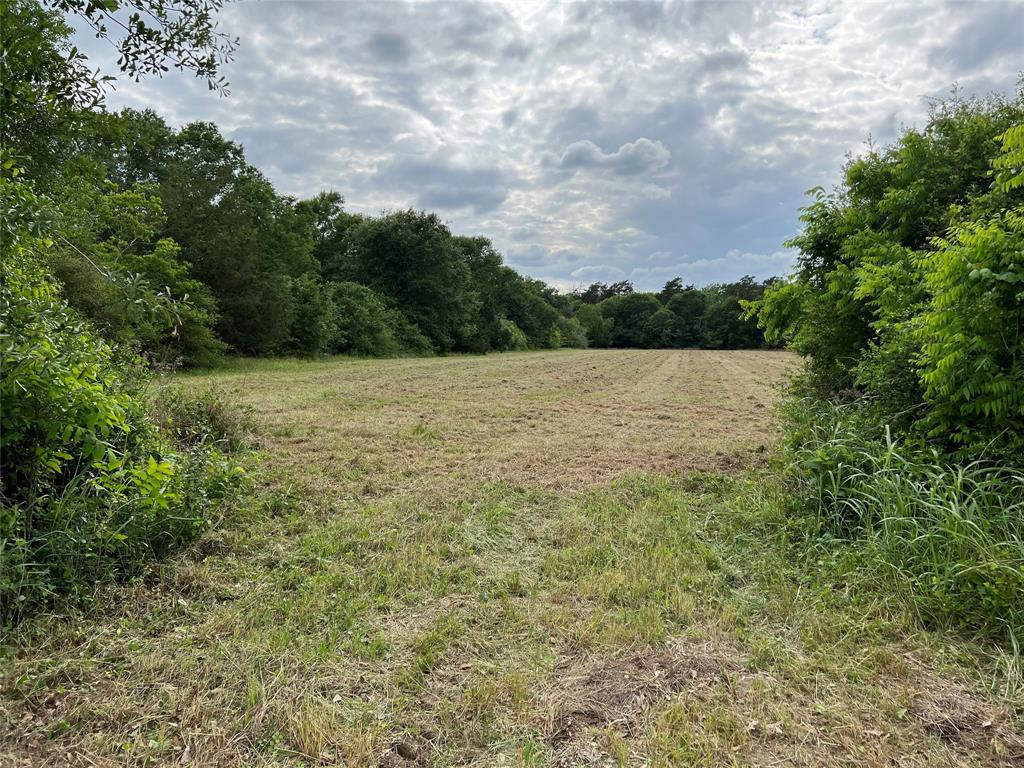 2 acres ideally located between Columbus and Frelsburg - extremely convenient to Houston.  Natural privacy provided by the tree lined boundary.  Highly desirable sandy soil.  Don't miss the opportunity to build your country dream home on this small acreage parcel!