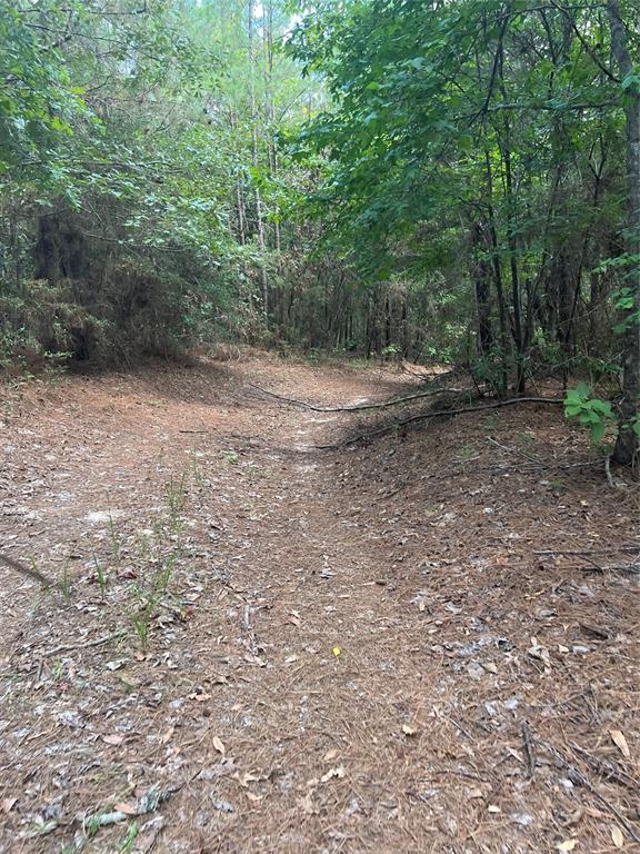 36+/- acre tract just minutes from Downtown Livingston! Located off of a gravel road, this property contains both hardwood and pine timber! Would make a beautiful homesite! Easy access to Hwy 59! Come take a look! Current survey. Seller will divide.