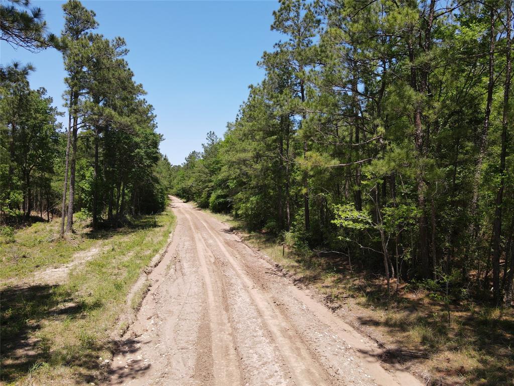 TIMBER TRACT! 
 This 28.79-acre timber tract is surrounded by Davy Crockett National Forest! Located just minutes off Highway 287 in Trinity County, this property is a great investment opportunity. The property is currently run as a tree farm and has healthy 20+year old pine plantation. The wildlife is vast around this property, making it a great recreational hunting tract. You’ll enjoy all the white tail deer, wild hogs, and occasional bobcats. This property has a new survey and is ready for a new owner, so give us a call today for a private showing.