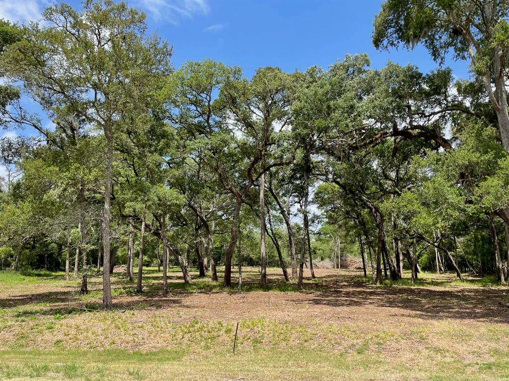 Welcome to peace and privacy. This recently surveyed 2.7 acre tract in Bar X Ranch has been cleared and under brushed. Brimming with wildlife. Abundant with oak and pecan trees, and also backs up to Middle Bayou. This large tract is a great location to tuck away a new homesite. Enjoy the space this property has to offer, along with all of the amenities the Bar X Ranch Subdivision provides.