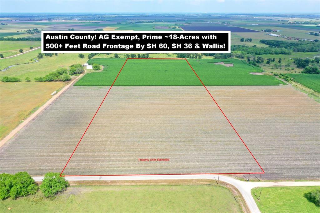 Great Location In Austin County! AG Exempt! Prime ~18-Acre Tract By FM 1952, State Hwy 60, State Hwy 36 & Wallis with 500+ Feet Road Frontage on Svoboda Road. 15 Minutes From 1-10 Provides an Easy 30-Mile Drive to SH 99/The Grand Pkwy, Katy Mills Mall, University of Houston-Katy Campus. No Water Or Sewer. Well & Septic Will Need To Be Installed By the Buyer. Seller To Retain All Owned Minerals. Five Additional Tracts Available (see map). New Survey Will Be Required. Restrictions in Docs. Downtown Houston and Texas Medical Center Are 45 Miles Away.