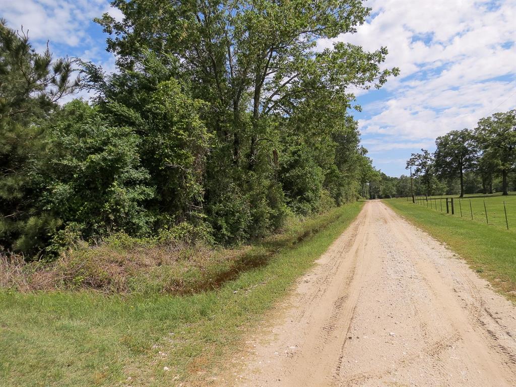 Great country acreage! Partially wooded tract with trails running through and some open land. Great location for a home site or weekend getaway. It has a Lovelady address but is actually closer to Weldon, Texas. Call today!