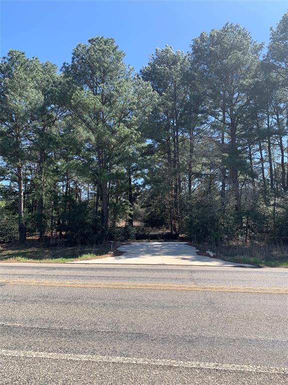 Perfect for your residential or commercial endeavors. 7 level acres. Beautiful massive pine trees. Wooded with great road frontage. Just west of Waelder, this 7+/- acres is close to town, yet private and quiet. Easy commute to Gonzales, Lockhart, Luling, Flatonia, Bastrop, etc... Concrete driveway entrances already installed. Seller has plans in motion for electric.
