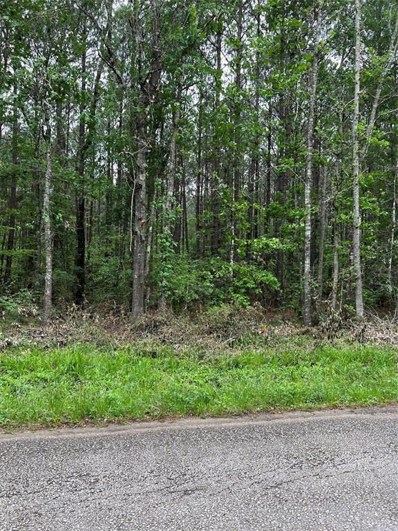 Over 80 acres that can be a dream home paradise close to HWY 59 for easy commute to Houston.  Property can also be purchased to subdivide into smaller home sites, or a commercial location not far out of Houston.