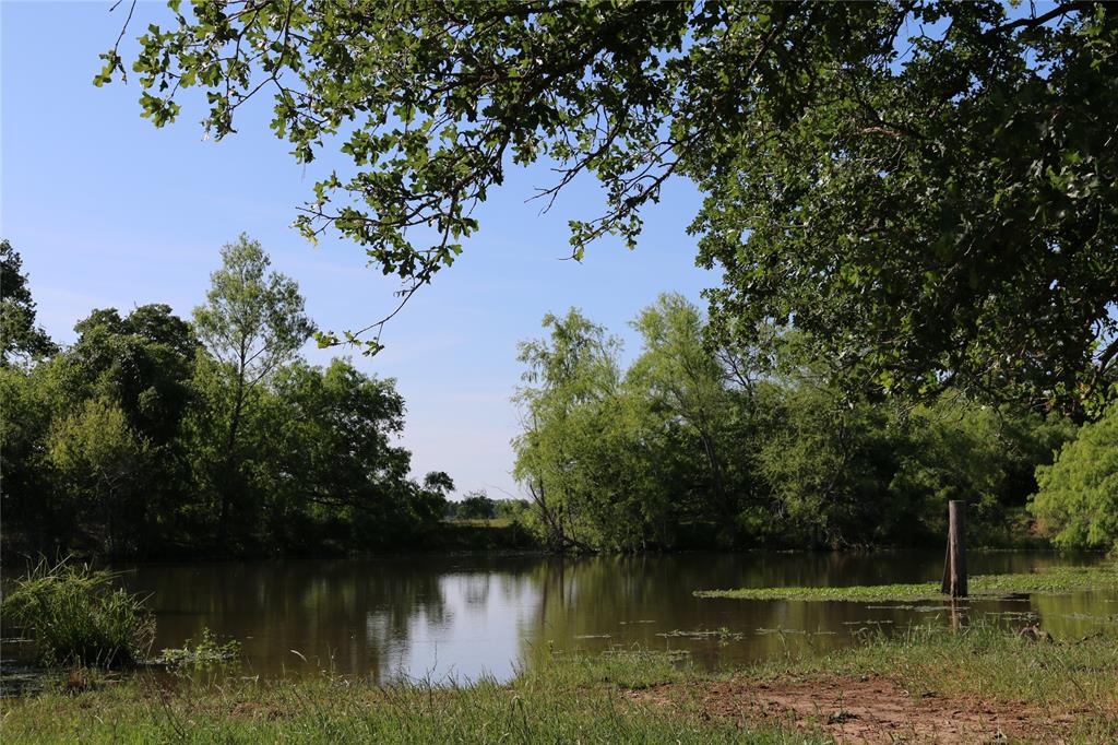 Gorgeous property located just outside the hustle and bustle of town! If you are looking for a secluded property just off a great road with a pond, look no further! This nearly 20-acre fenced pastureland is 12 minutes from Madisonville with scattered trees and infinite possibilities!