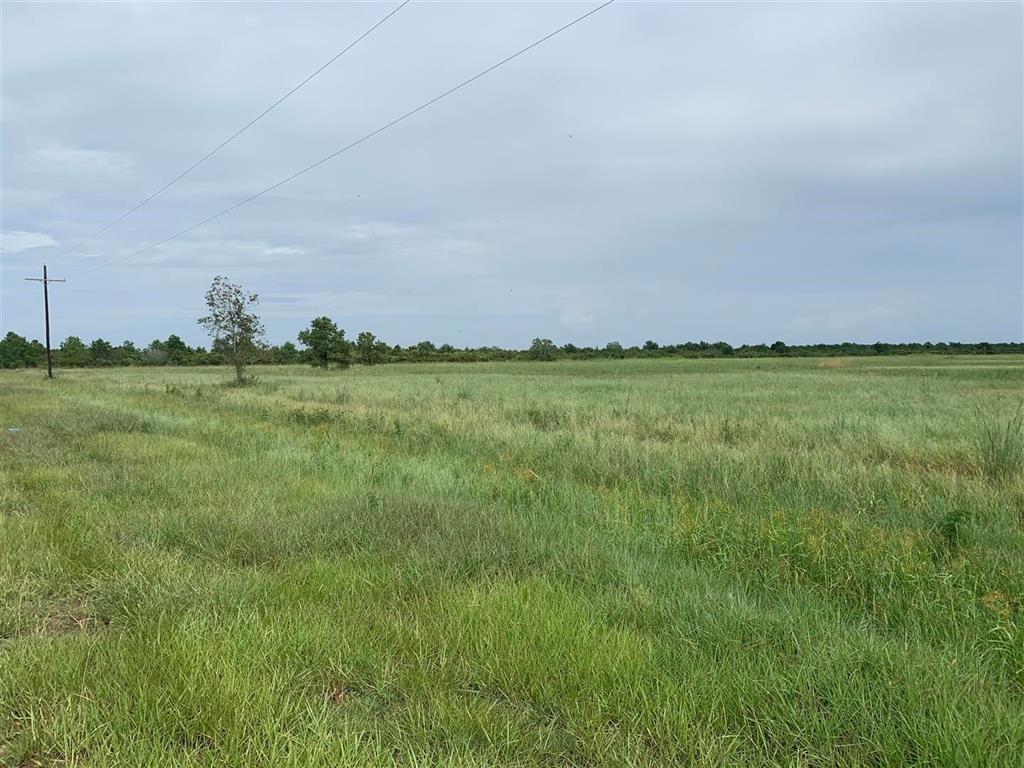 Excellent homesite on the coast between Anahuac and Smith Point on a paved road. Property across the road from water side tracts. Many uses for this land, homestead, horse facility, ranching, or hunting. Public water along the road and power is available. It’s time to move out from the big city to a different environment.