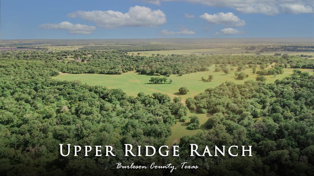 Upper Ridge Ranch is truly a unique property for Burleson County. Upon entering this beautiful 88 acres you will see a mix of both open pasture and forested areas, but the topographical variation is what sets it apart. Whereas the surrounding land is either flat crop land or dense yaupon forest, this property has varying topography that produces vegetative communities not commonly found in the area anymore. Seven different varieties of oak trees have been identified on the property, in addition to a variety of wildlife. The terrain features stone outcroppings, wet weather creeks, and sandy soil. A wildlife and property management plan has been executed to take advantage of the elevation and views. Kyle Field can be seen from the ridge. The plan also enhances the promotion of wildlife, and trails have been cut to provide access through the wooded areas. Ag exemption in place. 6 mi from historic Independence, TX, 18 mi from Brenham, 23 mi from College Station, and 82 miles from Houston.