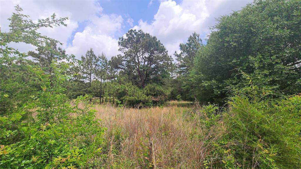 Land for sale in Houston County, 8.9 Acre
This acreage has both pasture and wooded area. Located just off County Road 3045 you will find room for your future home site. Move to the country and have your own garden, raise some animals and enjoy the freedom you will find here. Located about halfway between Crockett and Porter Springs.