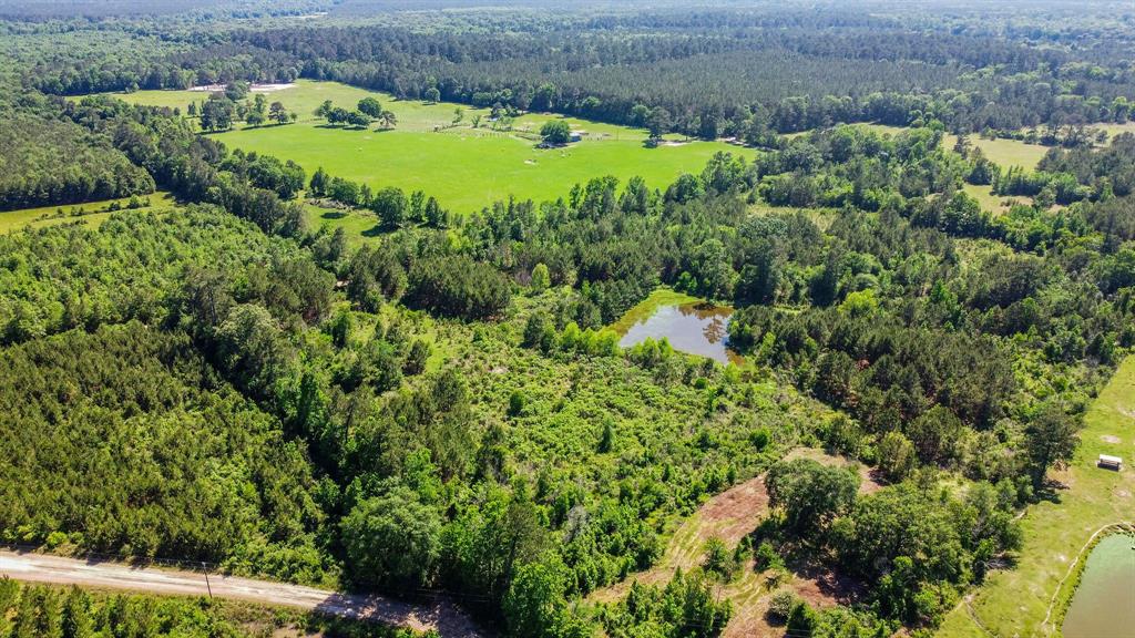 Over 35 acres of beautiful property available next to the Davie Crockett National Forest! The property has a 1/2 acre, 8 foot deep, fishable pond and 2 more smaller ponds. The pond is stocked with bass, perch, and catfish. The property is fenced and cross fenced with a mix of pasture land and tree coverage. There are barns and covered areas as well. There is a 3 bedroom, 1 bathroom house on the land that is currently being used as storage. It has a good foundation and metal roof, but would need some TLC to use as a home again. House has a light pole, community water without a meter, conventional sewer system, and propane tank. House is being sold AS-IS. There is no gate access from HWY 2262. Come get your slice of this country paradise with so much opportunity!