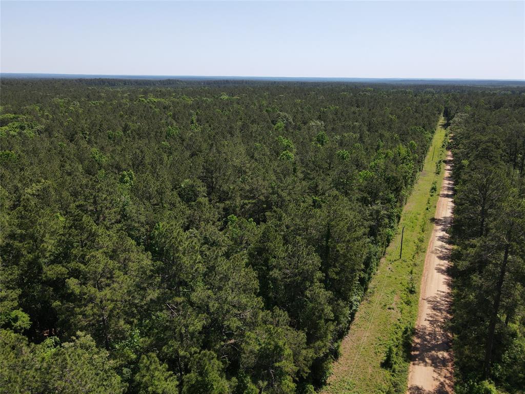 SURROUNDED BY DAVY CROCKETT NATIONAL FOREST! 
 This 160-acre lush timber tract is the recreational hunter’s dream! This property is just minutes off Highway 7 in Kennard, TX. From the moment you pass through the gate, you will enjoy the maintained SUV/ATV trail that bounds the western portion of the property. From this trail, there are many smaller ATV trails that navigate you further into the property. While traversing through the wildlife, you will stumble upon a small natural pond. This property is surrounded by the Davy Crockett National Forest, a very desirable hunting area. The owner of this property reports large white tail deer and other various animals native to the Houston County area. For your chance at building your dram hunting property from a blank canvas, give us a call today!