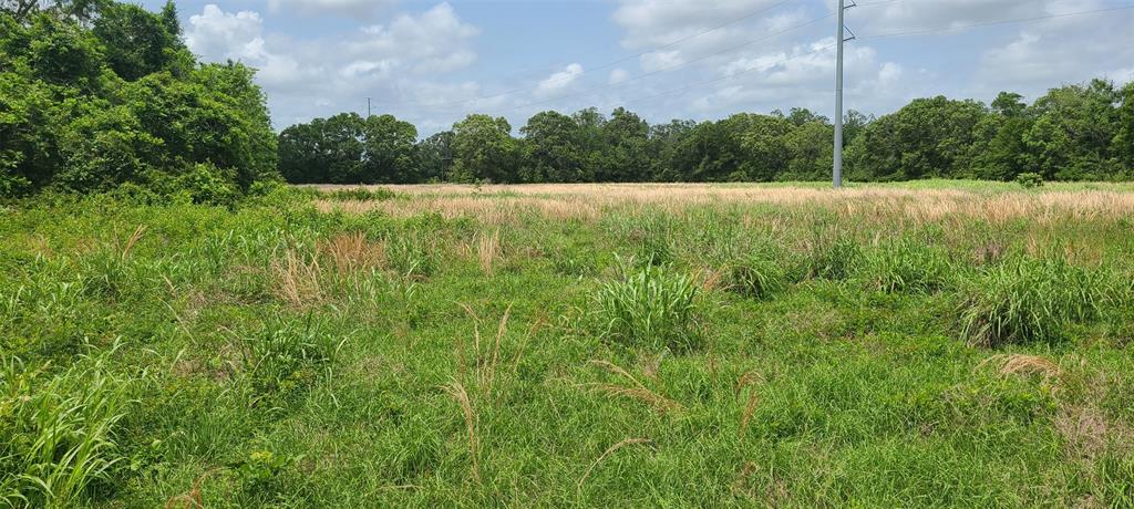 000 Fm 1459 Sweeny, Texas Beautiful property currently in the process of becoming 3 separate tracts. This one will be approximately 13.423 acres will have a powerline easement. The remaining 2 pieces will be 11-acre tracts are available for $24,000/acre. Front acreage along FM 1459 is in Sweeny's ETJ. Sandy loam soil and adequate drainage as Steveson slough goes through the entire property.