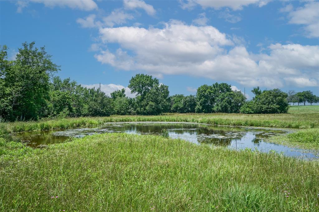Great location for multiple uses. Situated just off HWY 30 on County Rd 179 between College Station and Huntsville (I-45) this property is a great location for a future homesite in the Anderson-Shiro ISD.  The property is mostly open with a few clusters of woods, it features rolling terrain with a small pond and electric is available at the road. The property is also ag exempt and located just 1 mile from the proposed high-speed rail stop in Roans Prairie.  Whether you're looking for a homesite or an investment this one fits the bill.