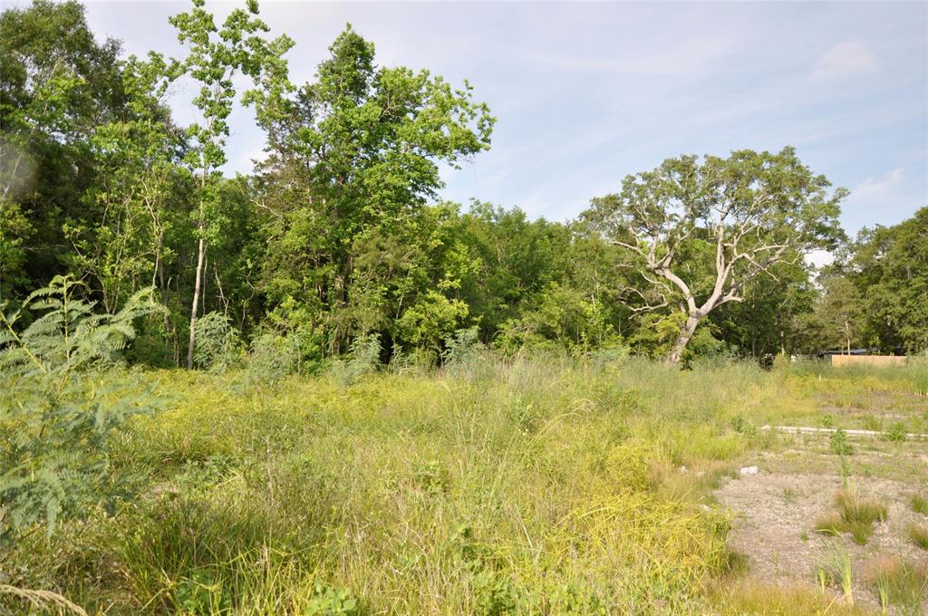Property is in a great location in close proximity to TX-35, Phillips 66 Sweeny Refinery and Chevron Phillips Chemical Company. Shared easement with Dollar General to FM 1459.