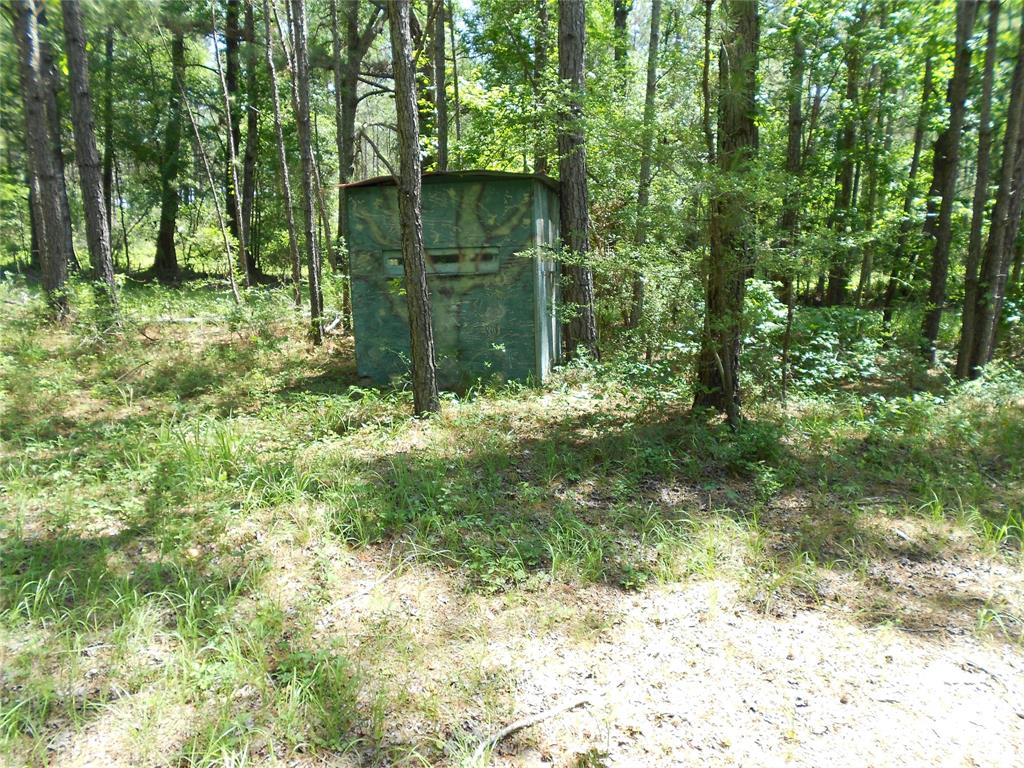 Secluded hunting property surrounded by large timber company tracts that are all used for timber production and hunting purposes.  This property is ideal for recreational purposes, hunting of deer, hogs and other wild game found in East Texas.  The property is approximately 1/3 open pasture and the remainder wooded with large oak and pine trees.  There are couple of smaller ponds on the property that attract wild hogs in the area.  The open pasture is currently being used for hay production and is not fenced.  There is no electrical service currently to the property.
Seller has killed several nice bucks on the property in the past several years!