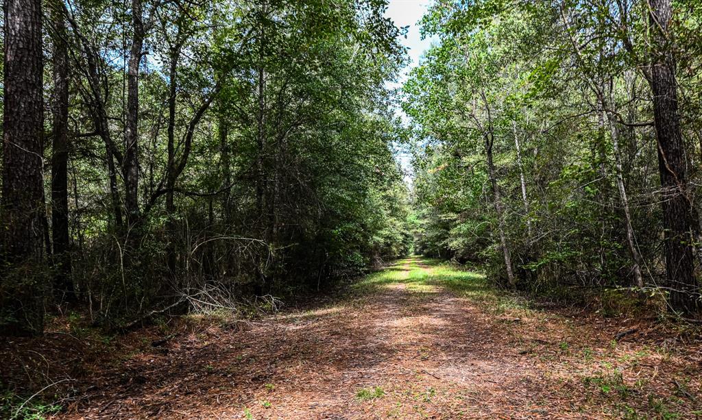 148 acres of untouched hardwoods, 1,375 ft of Hwy 105 frontage, and within 1 hr from Downtown Houston. This is the perfect blank slate to carve out your home site location while still giving you plenty of room for any outdoor activities you desire. The entire property is high and dry from any flood plain areas and utilities are available along Hwy 105. Wildlife abounds throughout the property with large neighboring properties owned by a timber company to provide that extra buffer space from neighbors. Schedule your tour today!