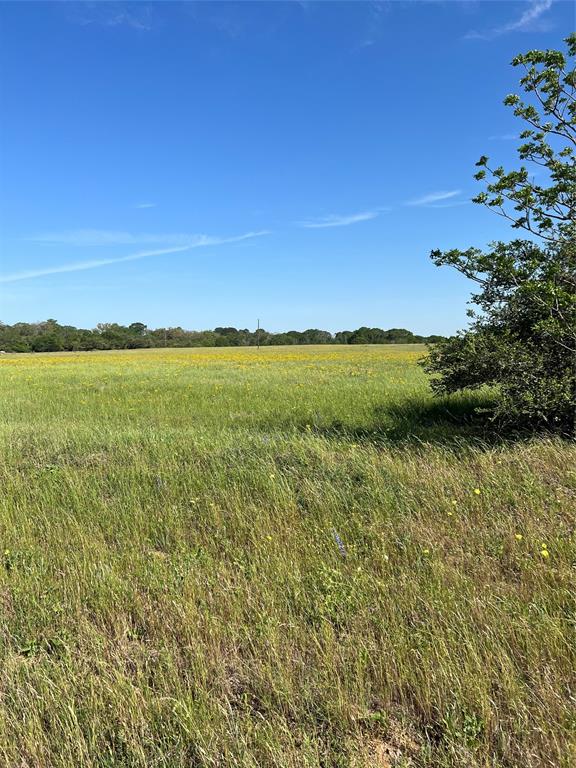 Wonderful 10 acres with great road frontage at the corners of Kramer road and Centerhill road. This property is the only undeveloped parcel that is in the coming soon houses of Los Ranchitos of Chappell Hill. Deed Restrictions apply. This is Parcel H