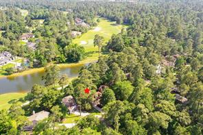 8 N Timber Top Drive, The Woodlands, TX 77380