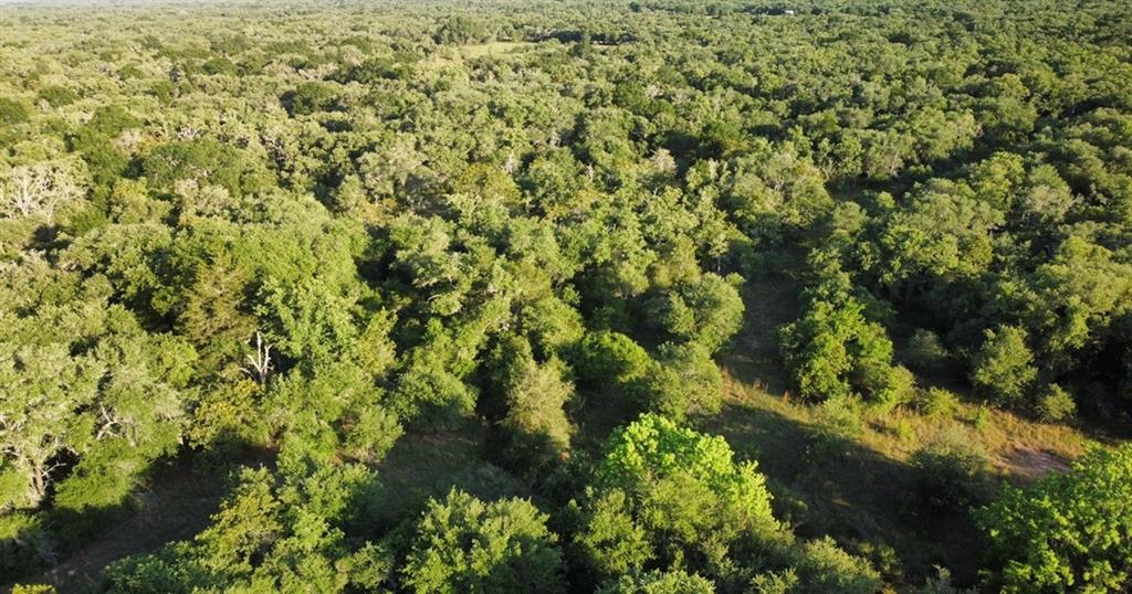 Beautiful 17.719 +/- acres of heavily wooded land located off CR 14 in Speaks, Texas. This secluded property is the perfect get away abundant with wildlife, large oak trees, and a creek that runs through the property. Fully fenced.