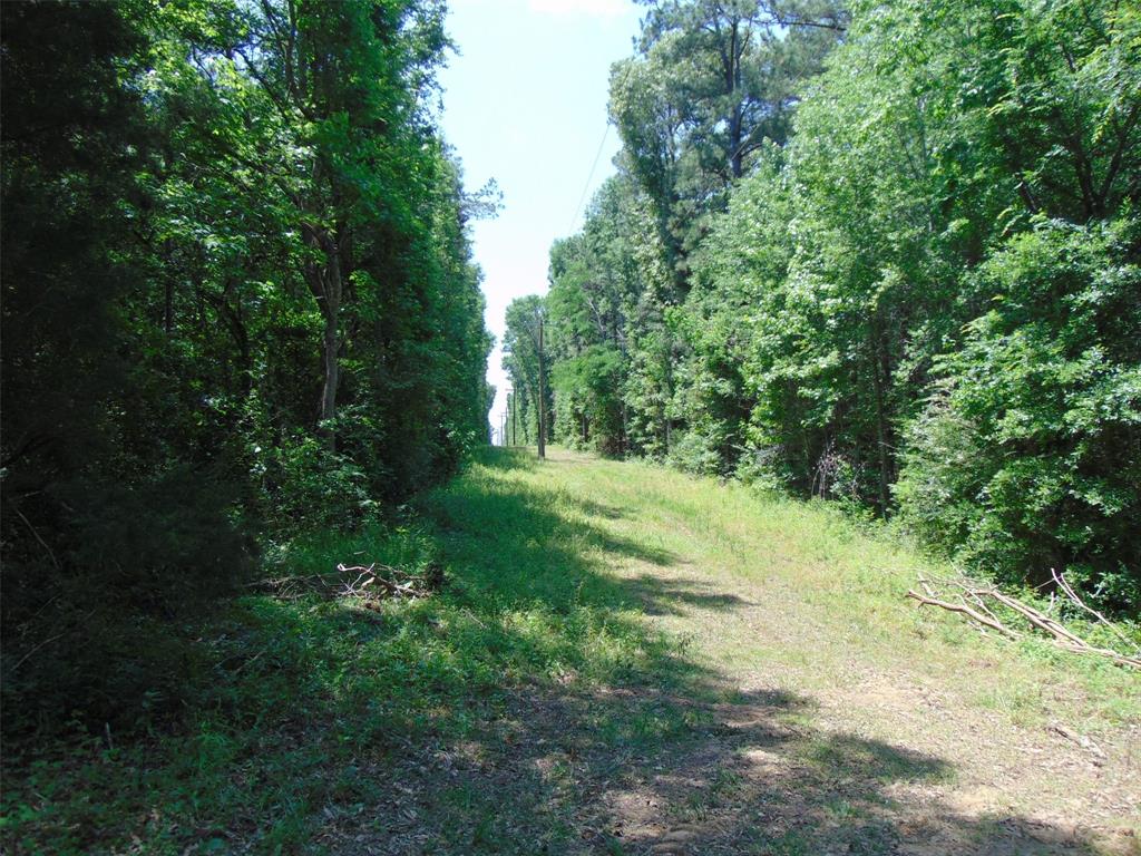 Approx 142 Beautiful Acres near Nacogdoches. Property has been in family for over 200 years.  Old Homestead on property is being given NO VALUE as it is in disrepair.  Heavily wooded.  Property has a large pond and a running creek, Moss Creek.