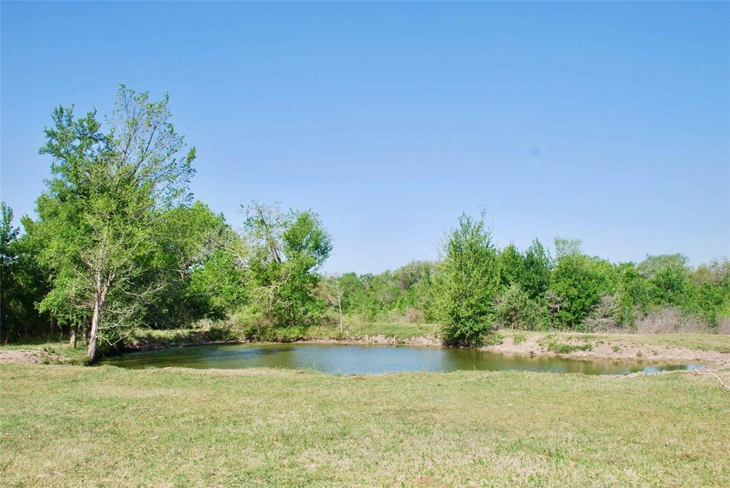 17 acres, nice, mature trees, and a wet weather creek. Multiple building sites, with some good elevation change along the 2,000 feet of road frontage. Live oaks and Post oaks dot the landscape, along with a small pond. The creek provides good habitat for wildlife. Small acre tract near Flatonia, not many available this size and this convenient. Property is less than 10 minutes off I-10 and is convenient to Austin, Houston, and San Antonio.