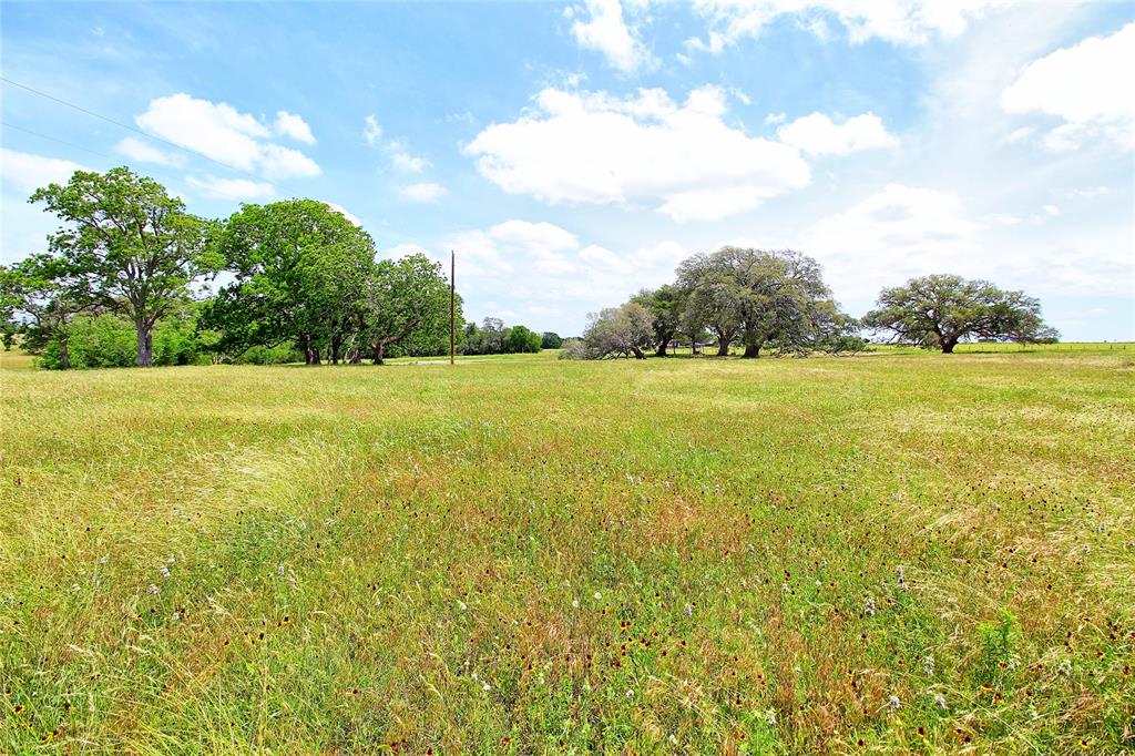 Approx. 34 acres on FM 532 in Colorado County just 10 minutes south of Weimar I-10 Exit 682 featuring native pastureland highlighted by historic Live Oak & Pecan trees, spring-fed creek, electricity, water well & ideal home site! DETAILS: Residential, recreational and/or farm & ranch use, 60' paved road frontage, Mostly clay soil, +/-1,300' Spring Branch creek (boundary goes to centerline), 290'-340' elevation with NO floodplain, Wildlife, including deer & dove, Similar to larger size neighbors, Ag-exempt, Weimar ISD, Water well & electricity in place
2.38" natural gas transmission line running parallel to FM 532, per TRRC & survey, Additional acreage available (approx. 66 acres), 1 hour west of Katy, 23 minutes from HEB, Walmart & Columbus Hospital.