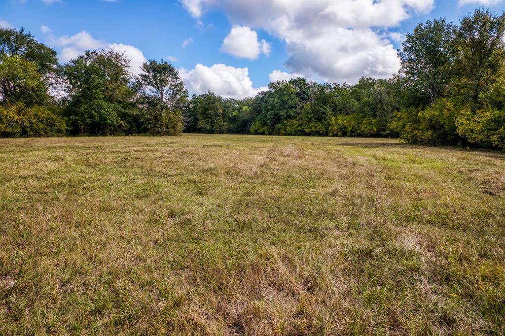 A great opportunity to buy 56 + acres right off of FM-2620 in the Anderson-Shiro school district. As you enter through the front gate, a large hay field sits in the front of the property. Large clusters of trees are found throughout the property along with a wet weather creek on the south boundary. There is a great mixture of trees and open pasture with multiple home sites available. This property is currently being used to run cattle and for hay production. Property is currently under Ag exemption. This tract is out of a larger tract with a home and multiple improvements. Additional acreage available. 15 miles to Anderson, 20 miles to Huntsville, and 30 miles to College Station. Schedule your showing on this desirable piece of land, today!