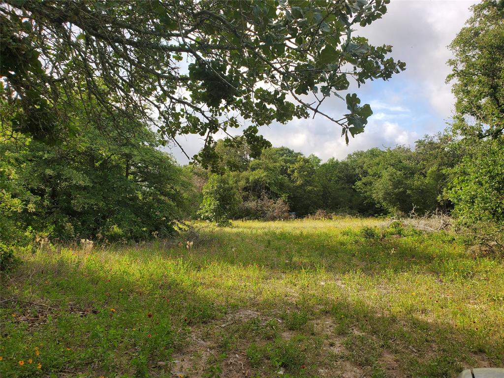 Secluded and peaceful 6 acres near Somerville, Texas. Wooded tract with sandy soil, rolling terrain and quiet location. Enjoy recreation at Lake Somerville just few minutes away. No physical address given yet to this property.