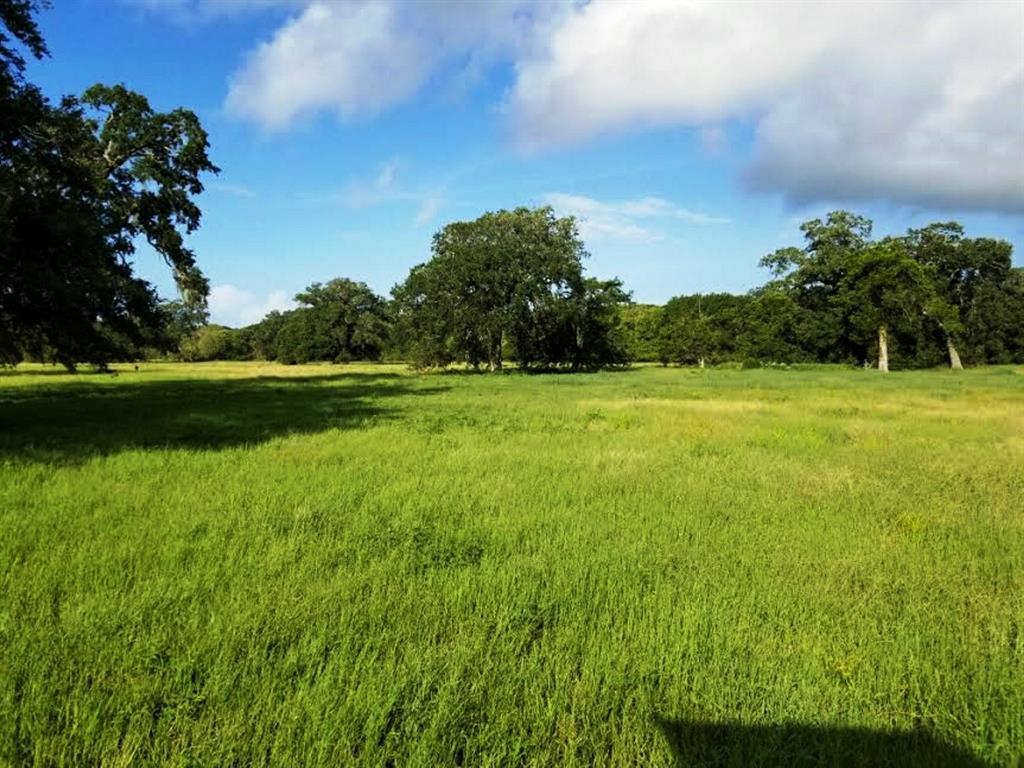 16.5 acres in a beautiful pristine area of Texas.  Hunting, grazing, secluded & private.  Built your country dream home here and have your horses surrounding you.  Small pond on property.  Country life with all the amenities close by. 
 Within 20 minutes to Lake Jackson or Bay City.  Also, minutes away from beaches.  Where you can fish the Gulf of Mexico and East Matagorda Bay.
