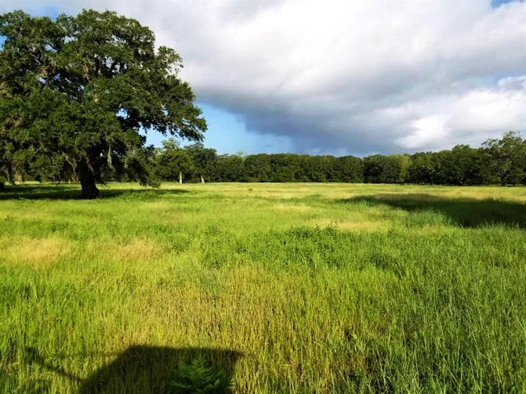 16.5 acres in a beautiful pristine area of Texas.  Hunting, grazing, secluded & private.  Built your country dream home here and have your horses surrounding you.   Country life with all the amenities close by. 
 Within 20 minutes to Lake Jackson or Bay City.  Also, minutes away from beaches.  Where you can fish the Gulf of Mexico and East Matagorda Bay. There can be up to 33 acres purchased.