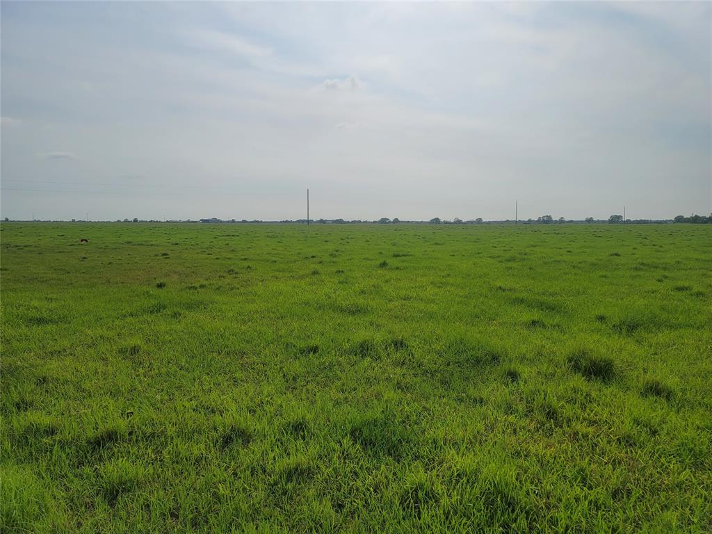 000  FM 2761  Cat Spring Texas 78933, 56