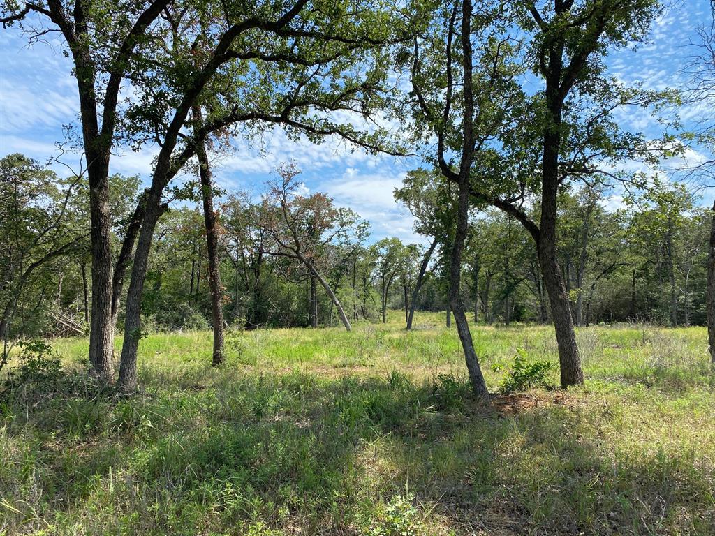 12 acres south of Smithville, Bastrop County. This property was part of 184 acres. This listing is for TRACT 2.  Wooded acreage w/beautiful trees/abundant wildlife/nice, restricted homesites. Build your dream home or a getaway cabin. Electricity available - Bluebonnet Electric main lines are on the property. Water well and septic needed. (Photos posted are of the entire tract, not necessarily the subject tract.)