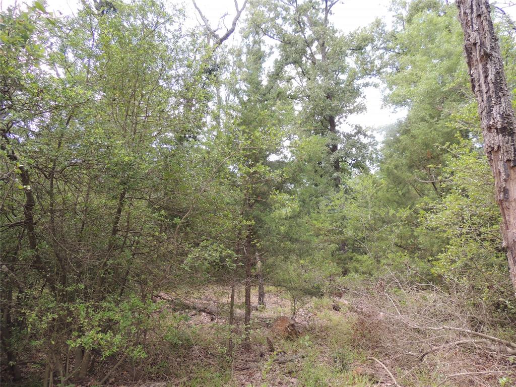 TBD  CR 3070  Crockett Texas 75835, Crockett