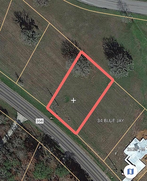 TBD  FM 357  Trinity Texas 75862, 42