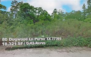 80 Dogwood, Houston, TX, 77365