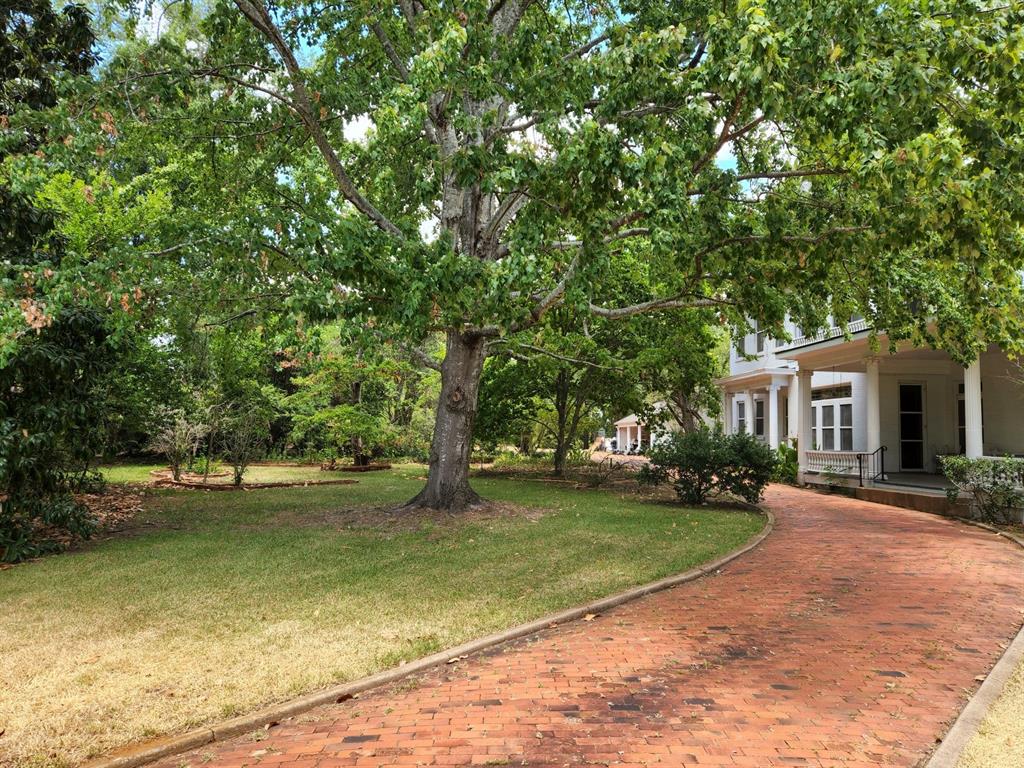 601 Hodges Street , Palestine, Texas image 8