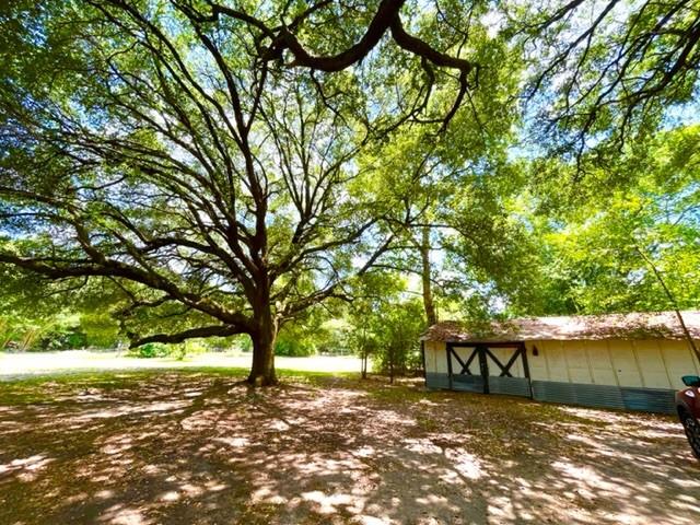15892 Fm 1485 Road