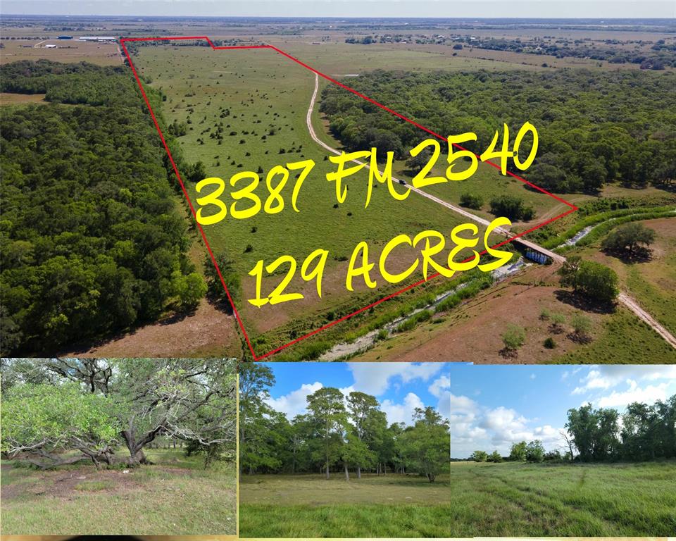 AMAZING LAND THAT HAS BEEN IN SELLERS FAMILY FOR GENERATIONS & LOVED. GOURGOUS RANCH LAND THAT IS LOADED WITH DEER, HOG & WILDLIFE & HAS A LITTLE OVER 680FT ON HARDEMAN CREEK WITH MAJESTIC OAKS RUNNING THROUGH THE PROPERTY. OVER 80% IS LOACTED OUTSIDE OF FLOODPLAIN AREA & HAS EXCELLENT DRAINAGE. PROPERTY IS 90% FENCED & CURRENTLY IS BEING USED FOR CATTLE. RICH SOIL & NATIVE GRASS. LOCATED ON FM 2540 JUST ACROSS FROM THE BAY CITY AIRPORT & LOCATED IN THE VAN VLECK SCHOOL DISTRICT. PROPERTY HAS AN AG EXEMPTION & EXTREMLEY LOW TAXES. FARMSTEAD HOME TO THE SOUTH WILL NOT CONVEY. NEW SURVEY NEEDED