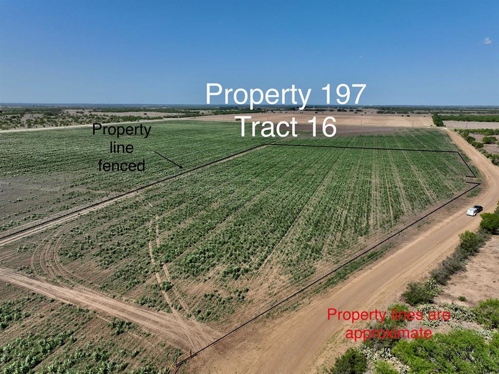 Tract 16 County Rd 136, Floresville, TX 78114
